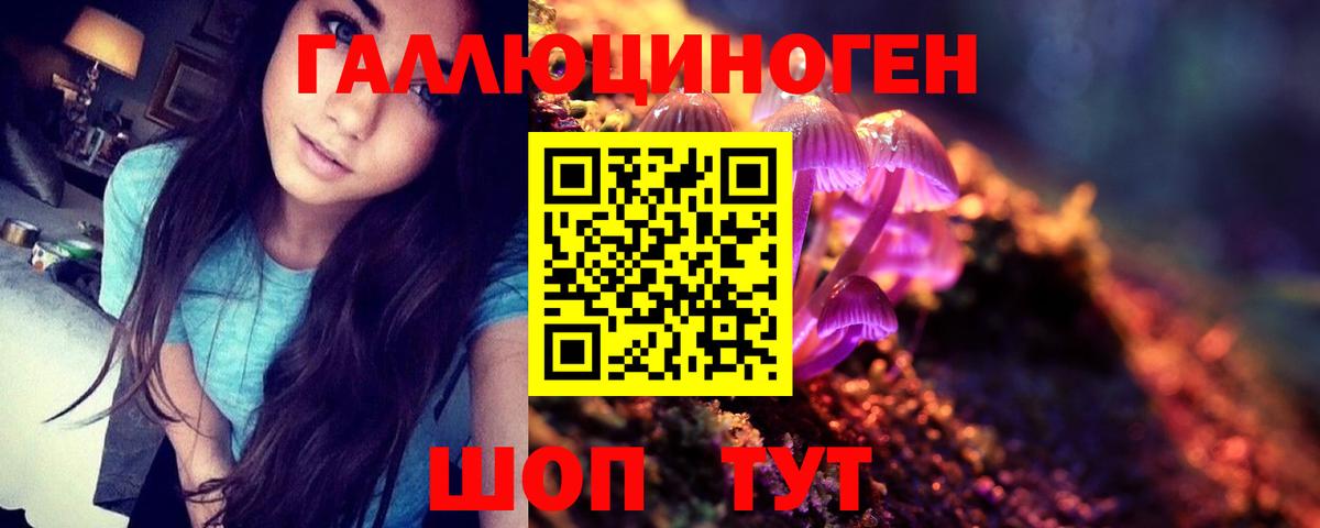 Котельники  Галлюциногенные грибы GOLDEN TEACHER  Псилоцибиновые грибы мухоморы  дарнет шоп  Вход с VPN 